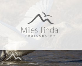 Logo Design entry 1193123 submitted by smarttaste to the Logo Design for Miles Tindal Photography run by Miles Tindal Photography