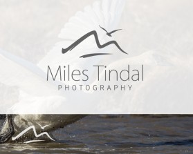 Logo Design entry 1193133 submitted by yama to the Logo Design for Miles Tindal Photography run by Miles Tindal Photography
