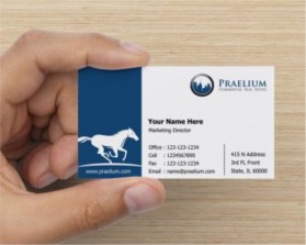 Business Card & Stationery Design entry 1193716 submitted by kittu to the Business Card & Stationery Design for Praelium  run by gsleazyskins