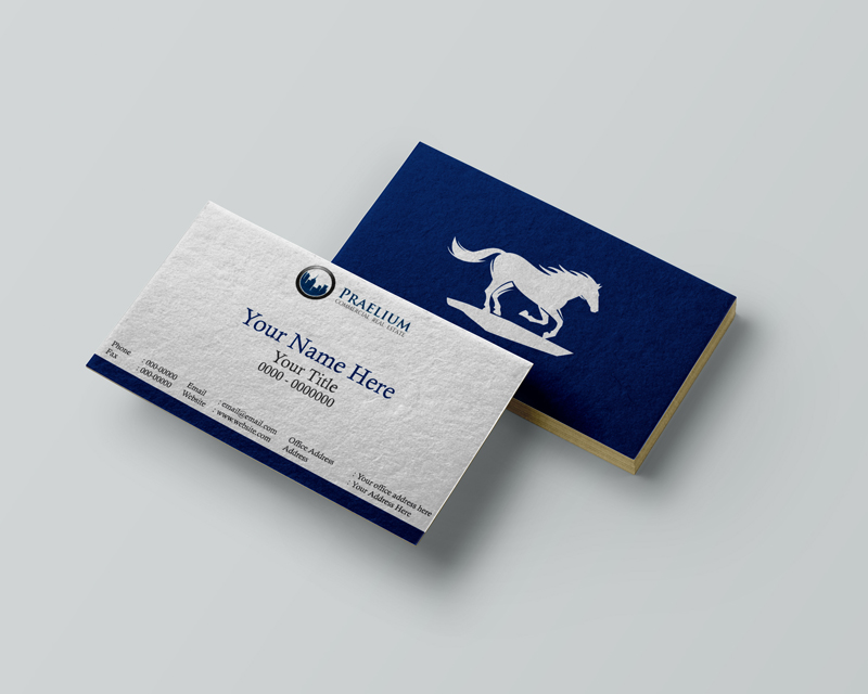 Business Card & Stationery Design entry 1240587 submitted by ranggarief