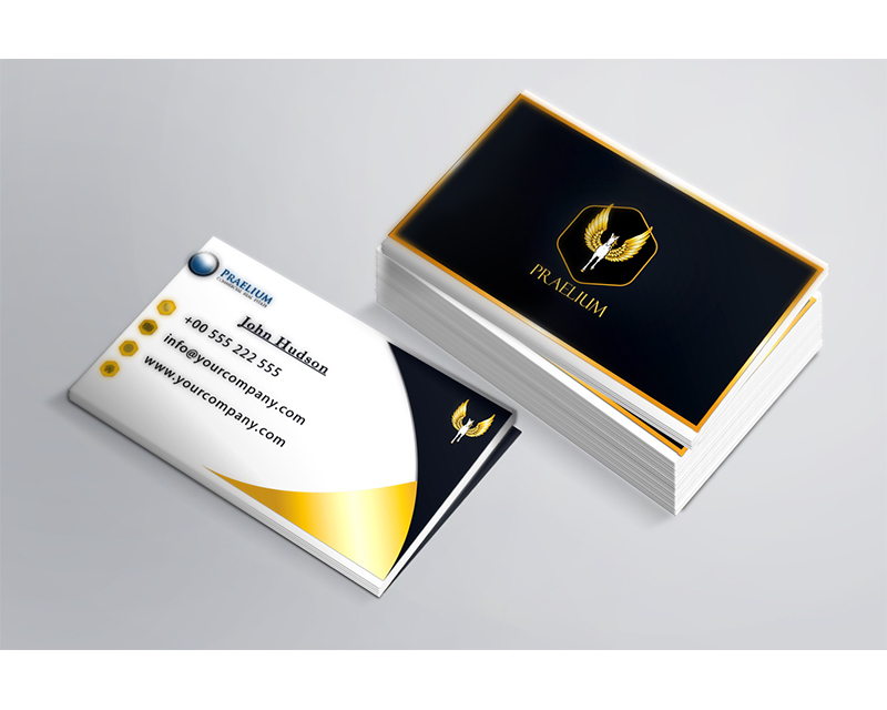 Business Card & Stationery Design entry 1241036 submitted by blue box