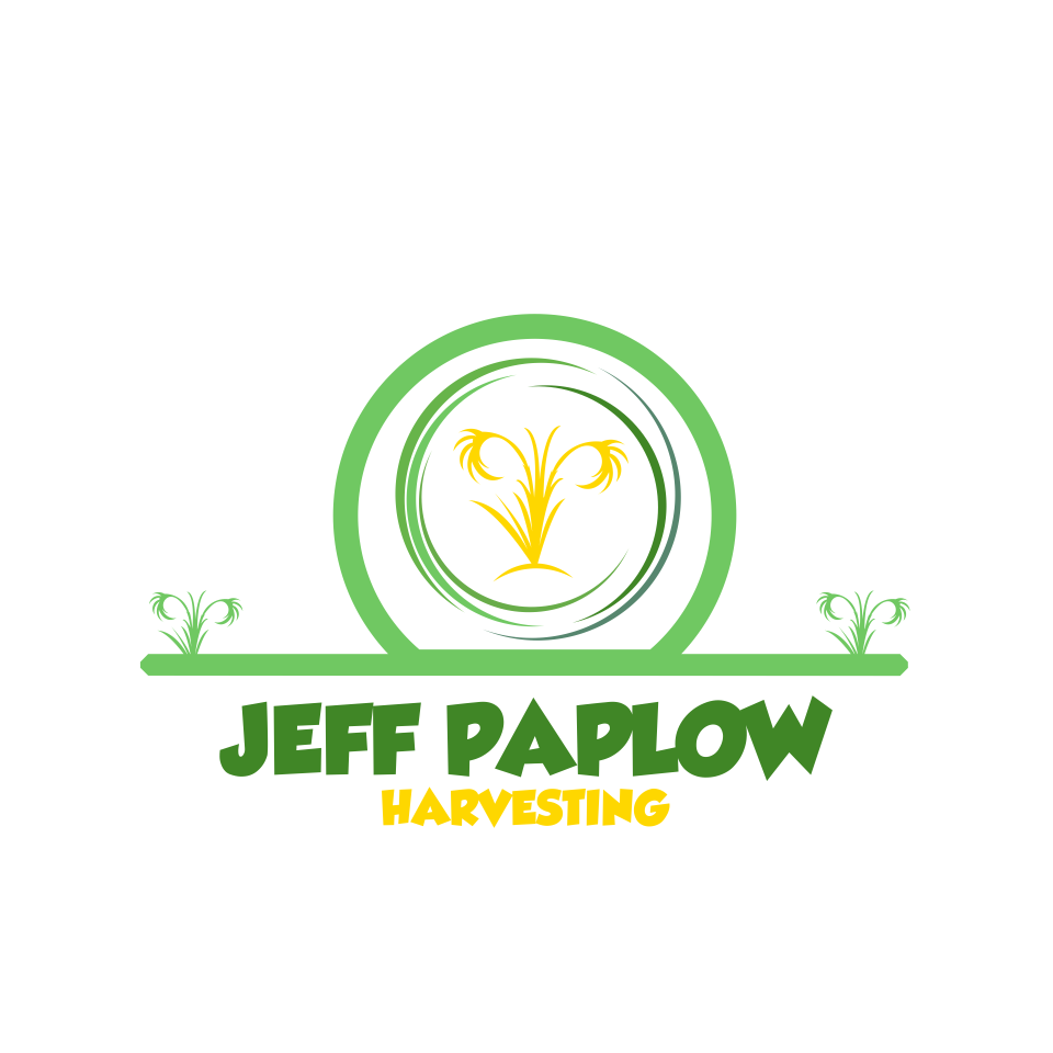 Logo Design entry 1245710 submitted by Salman