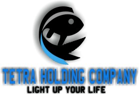 Logo Design entry 1196196 submitted by rully67 to the Logo Design for Tetra Holding Company run by lehoangm