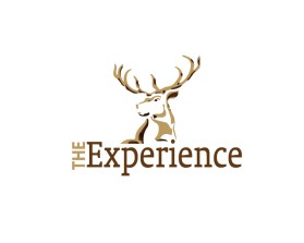 Logo Design Entry 1218731 submitted by alvin.data to the contest for TheExperience run by jason_price