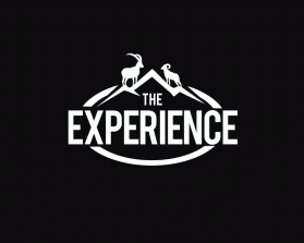 Logo Design entry 1218789 submitted by alvin.data to the Logo Design for TheExperience run by jason_price
