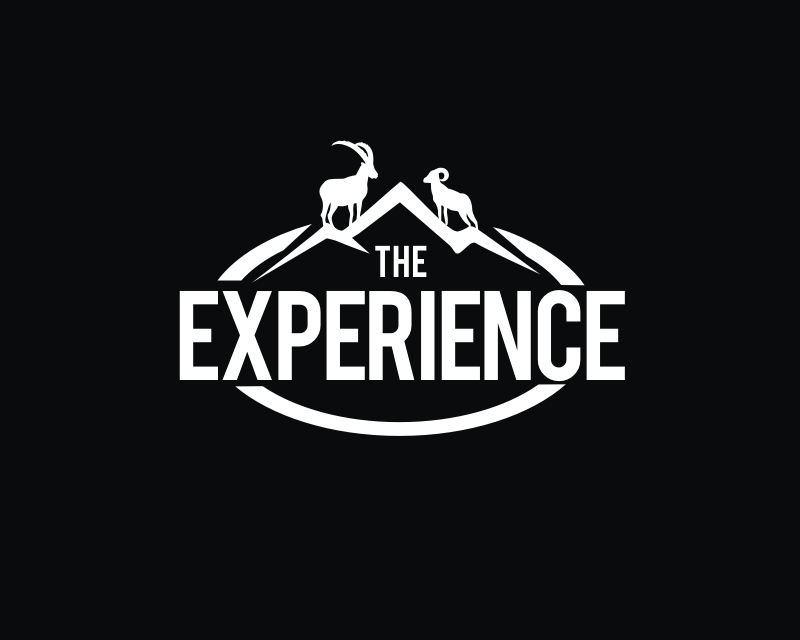 Logo Design entry 1218852 submitted by pingpong to the Logo Design for TheExperience run by jason_price