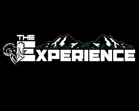 Logo Design entry 1218827 submitted by pingpong to the Logo Design for TheExperience run by jason_price