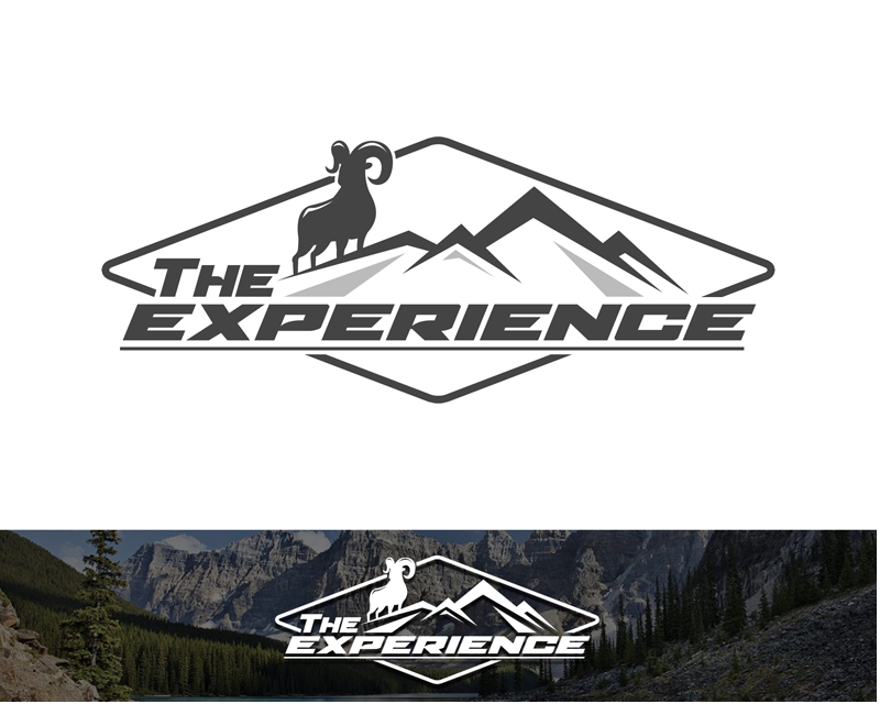 Logo Design entry 1218845 submitted by benteotso to the Logo Design for TheExperience run by jason_price