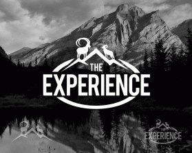 Logo Design entry 1218852 submitted by pingpong to the Logo Design for TheExperience run by jason_price