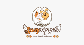 Logo Design entry 1274212 submitted by aimed