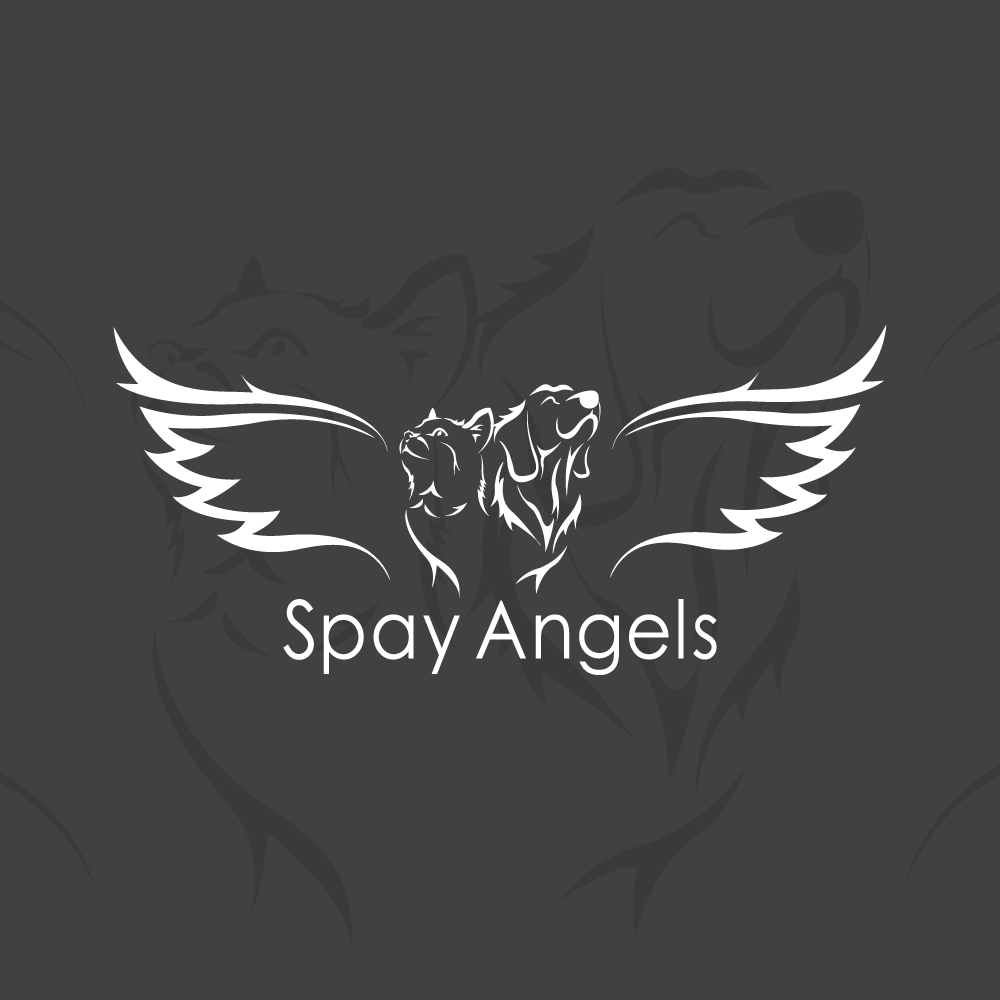 Logo Design entry 1274969 submitted by panjik94