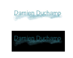 Logo Design entry 1233693 submitted by medurajess0810 to the Logo Design for Damien DUCHAMP run by damien7291