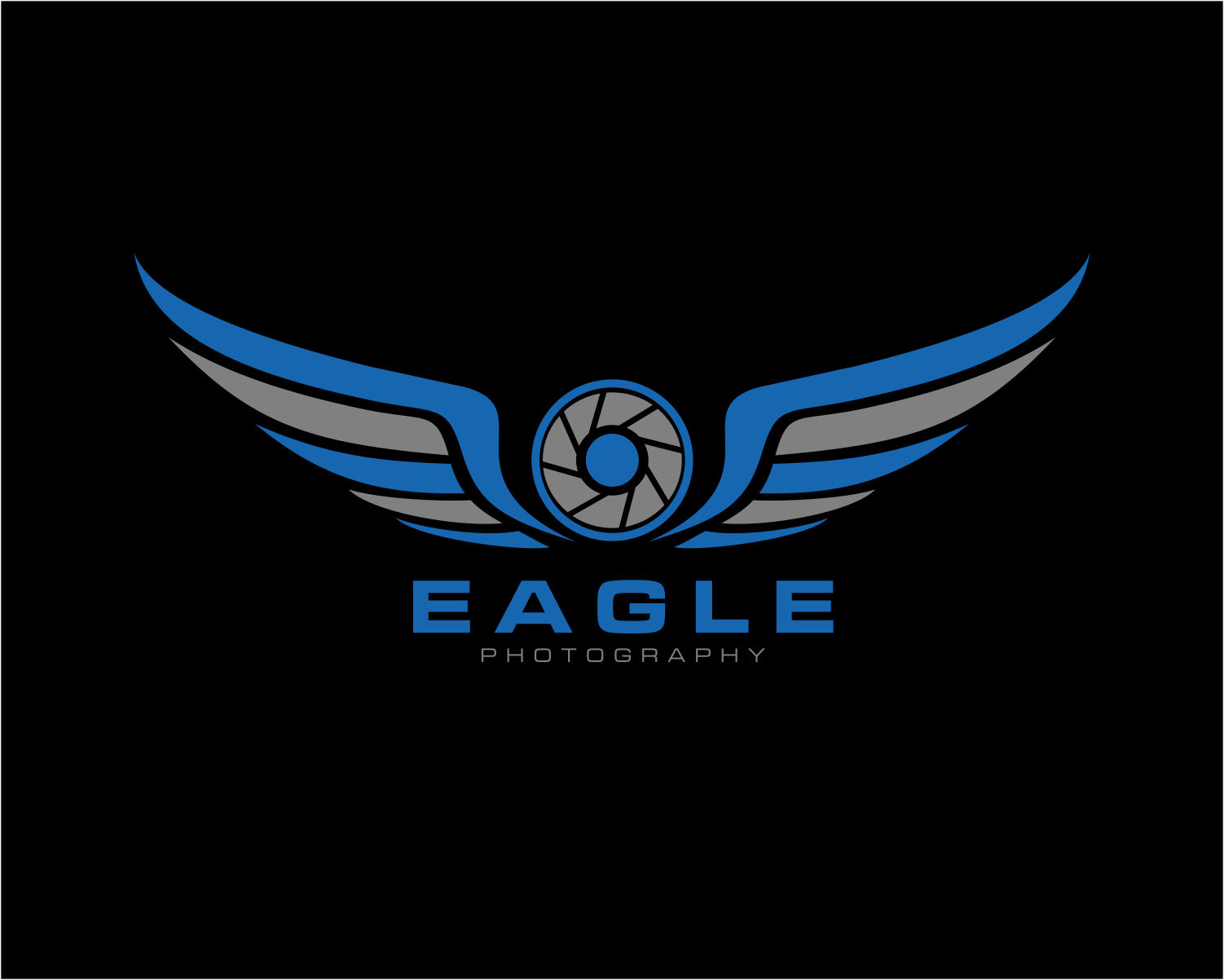 Logo Design entry 1239601 submitted by RZ to the Logo Design for Eagle Photography run by schickb