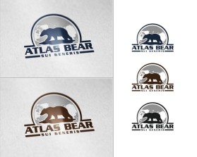 Logo Design entry 1303257 submitted by Ethan