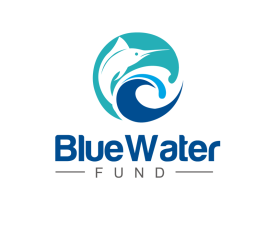 Logo Design entry 1249292 submitted by aksa to the Logo Design for BlueWater.Fund run by DeaconShields