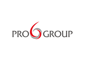Logo Design entry 1249345 submitted by ailideangel to the Logo Design for Pro 6 Group run by kominggdi