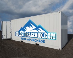 Logo Design entry 1264976 submitted by Jart to the Logo Design for www.coldstoragebox.com run by moorheas