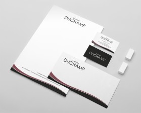 Business Card & Stationery Design entry 1271691 submitted by indeyzn to the Business Card & Stationery Design for Damien DUCHAMP run by damien951