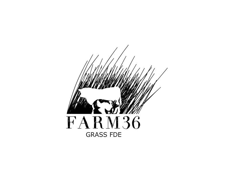 Logo Design entry 1274208 submitted by boycoll to the Logo Design for Farm36 run by catherinet