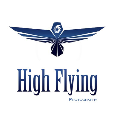 Logo Design entry 1345630 submitted by vblue
