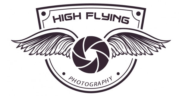 Logo Design entry 1346163 submitted by vblue