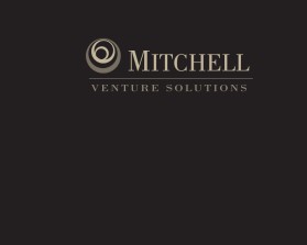 Logo Design entry 1303148 submitted by nsdhyd to the Logo Design for Mitchell Venture Solutions run by MitchellVS