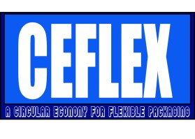 Logo Design Entry 1307648 submitted by paguy58 to the contest for CEFLEX run by graham@sloop-consulting.com