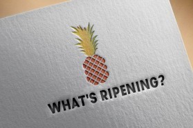 Logo Design entry 1313019 submitted by JustinV2.0 to the Logo Design for What's Ripening? run by Gatoreece