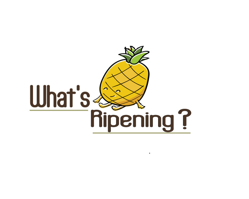 Logo Design entry 1313088 submitted by alabib to the Logo Design for What's Ripening? run by Gatoreece
