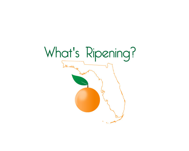 Logo Design entry 1313088 submitted by Logo Rebel to the Logo Design for What's Ripening? run by Gatoreece