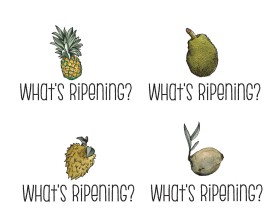 Logo Design entry 1313088 submitted by quimcey to the Logo Design for What's Ripening? run by Gatoreece