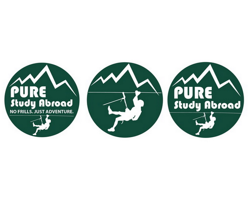 Logo Design entry 1316642 submitted by dsdezign to the Logo Design for PURE Study Abroad run by BedrockEducation