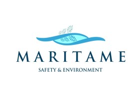 Logo Design entry 1318741 submitted by JBsign to the Logo Design for Maritime Safety and Environment run by doug@adlantic.ca