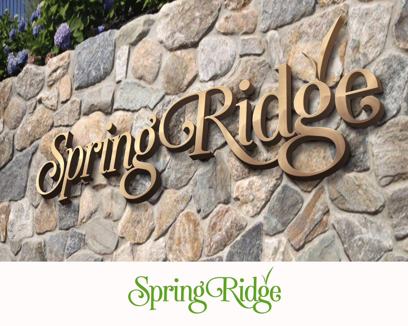 Logo Design entry 1326150 submitted by Belaire to the Logo Design for Spring Ridge run by elichter@atova.com