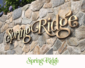 Logo Design entry 1326165 submitted by SAROI to the Logo Design for Spring Ridge run by elichter@atova.com