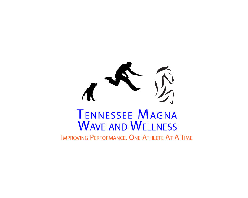 Logo Design entry 1345514 submitted by Logo Rebel to the Logo Design for Tennessee Magna Wave and Wellness run by sherryhp