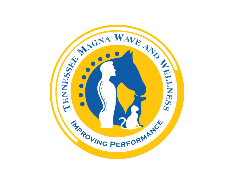 Logo Design entry 1345529 submitted by alvin_art to the Logo Design for Tennessee Magna Wave and Wellness run by sherryhp