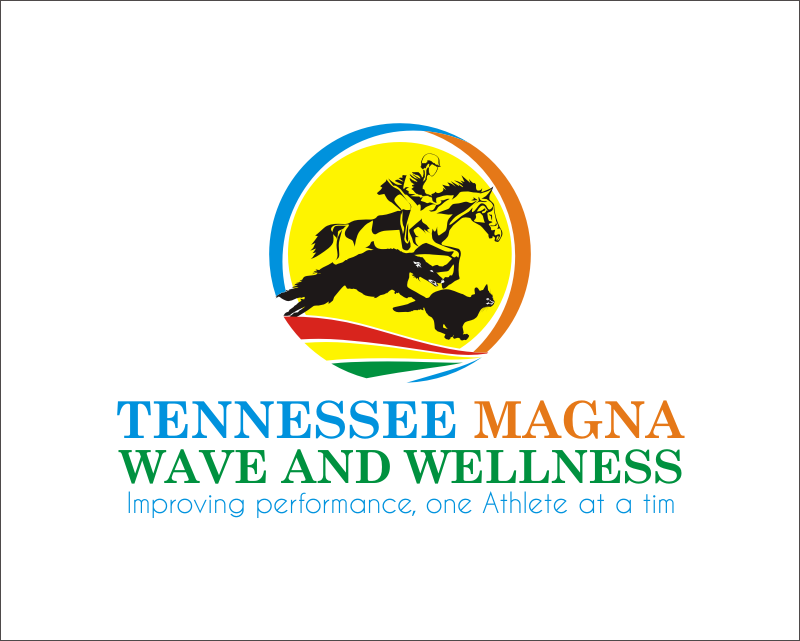 Logo Design entry 1345532 submitted by Wonkberan to the Logo Design for Tennessee Magna Wave and Wellness run by sherryhp
