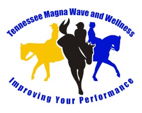 Logo Design entry 1345560 submitted by Wonkberan to the Logo Design for Tennessee Magna Wave and Wellness run by sherryhp