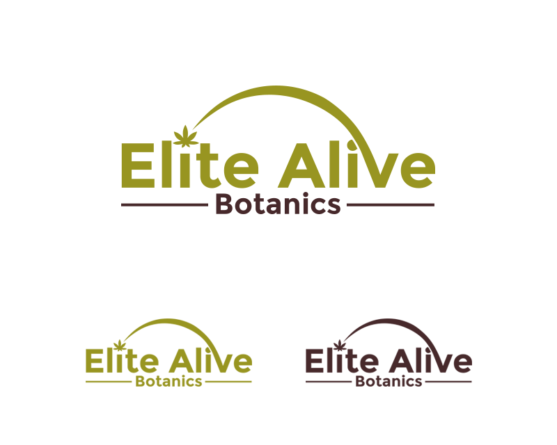 Logo Design entry 1404758 submitted by Ethan