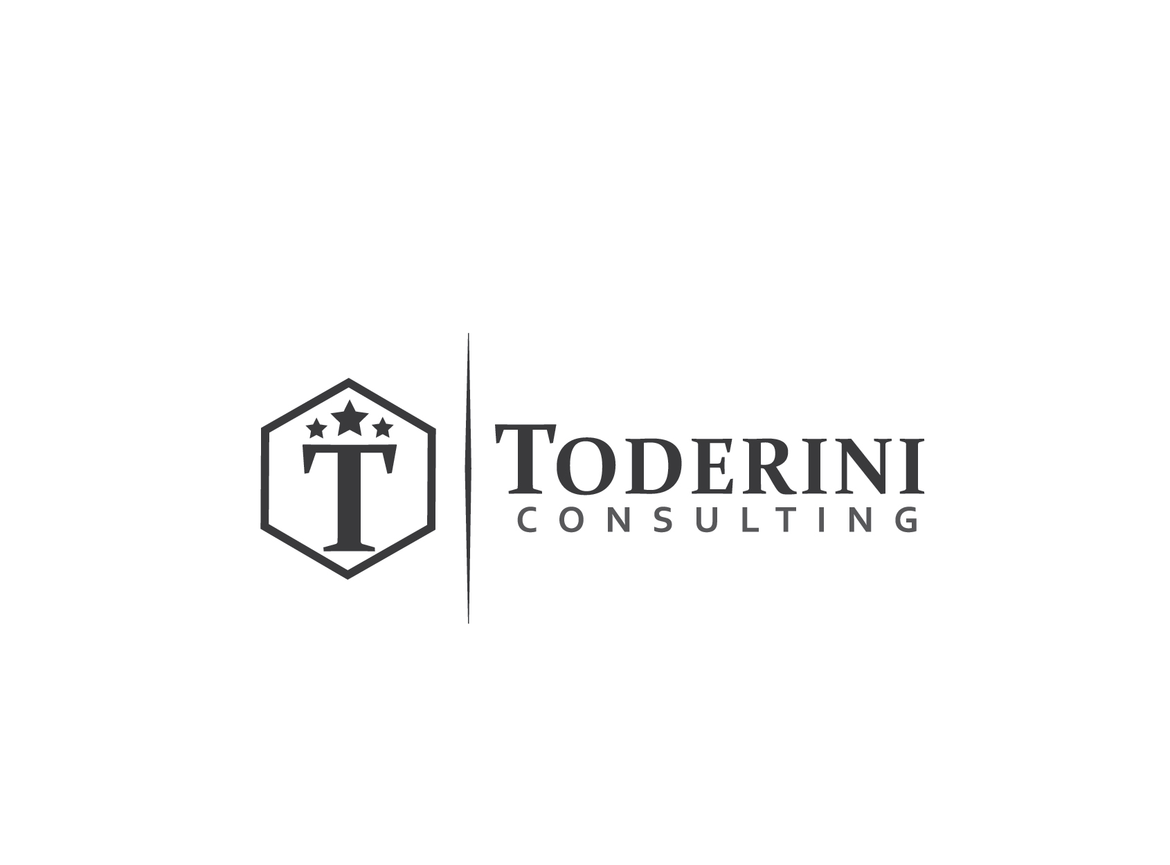 Logo Design entry 1351665 submitted by benjay to the Logo Design for Toderini consulting run by paolatoderini
