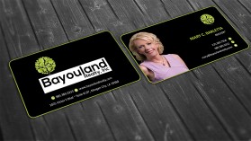 Business Card & Stationery Design entry 1418295 submitted by skyford412