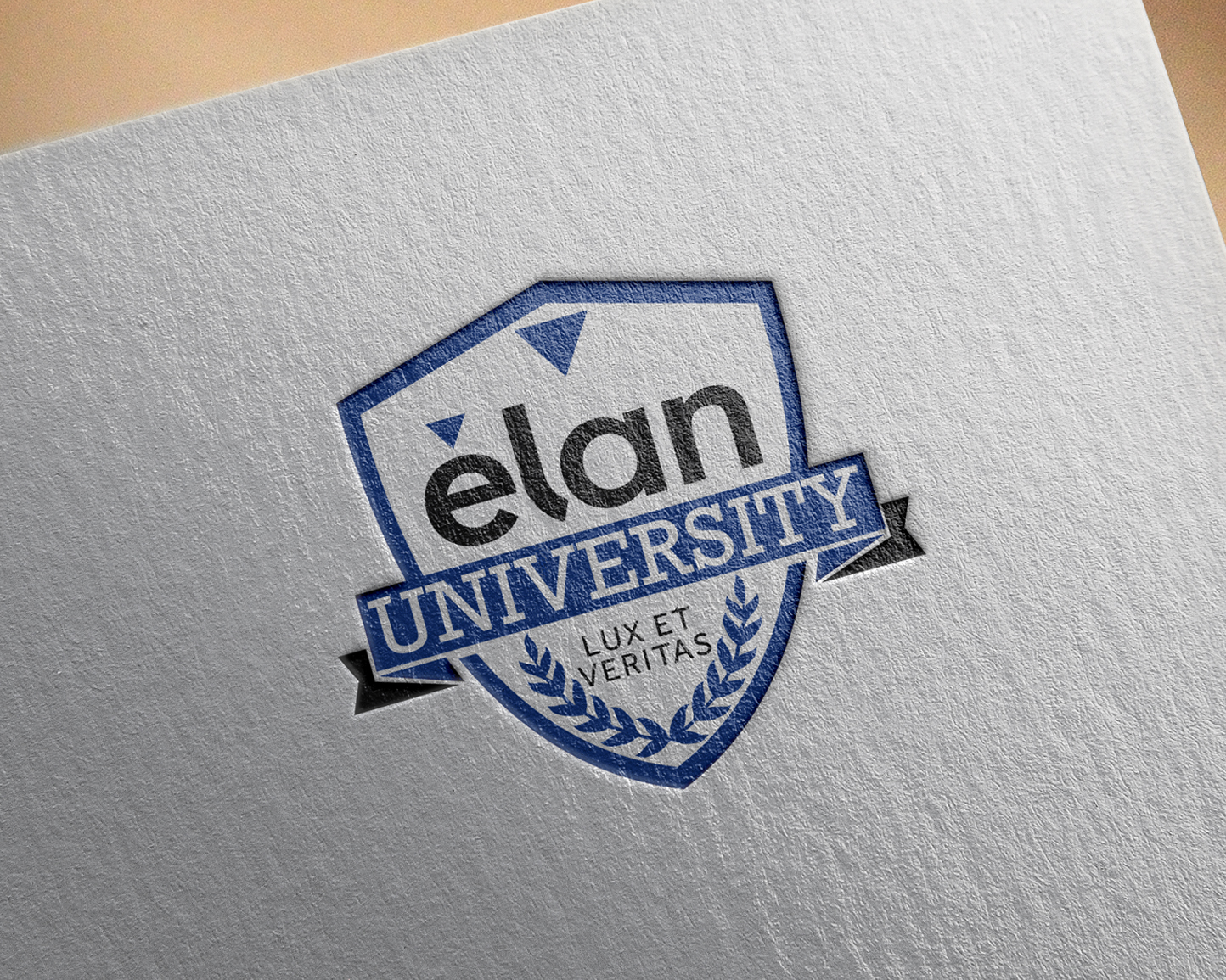 Logo Design entry 1429658 submitted by quimcey