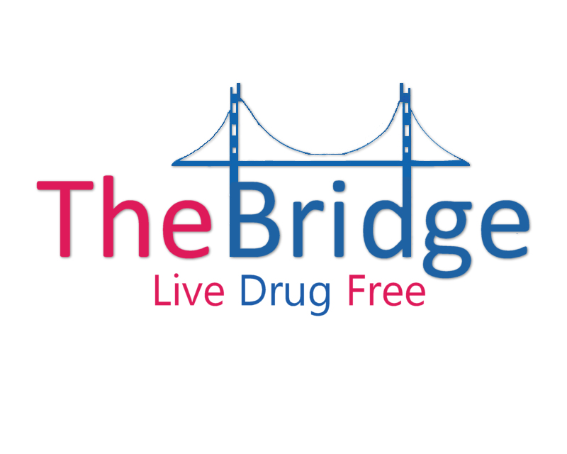 Logo Design entry 1371273 submitted by Wildcard to the Logo Design for The Bridge run by RTerry2017