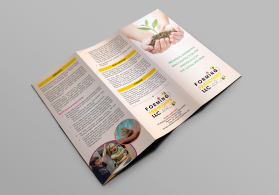 Brochure Design entry 1388868 submitted by lurth