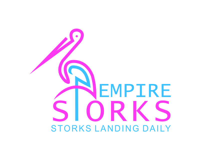 Logo Design entry 1388980 submitted by Torzo to the Logo Design for EMPIRE STORKS run by eichone