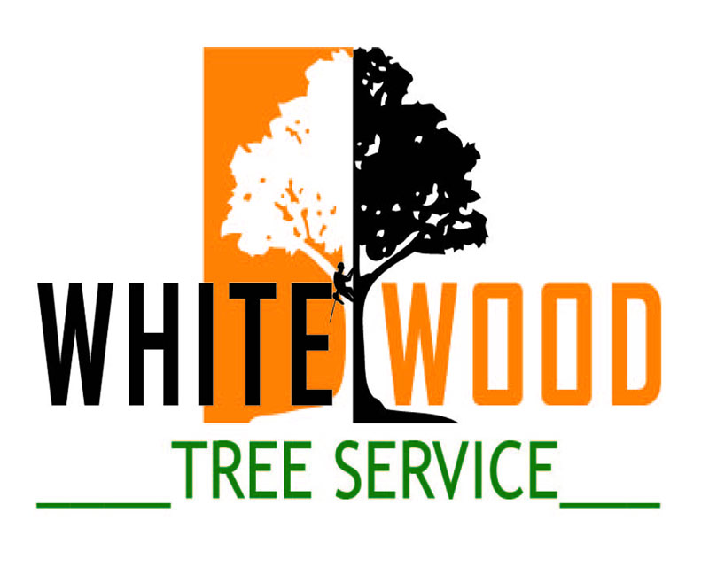 Logo Design entry 1393655 submitted by wedus gembel to the Logo Design for Whitewood Tree Service, Inc. run by Whitewood