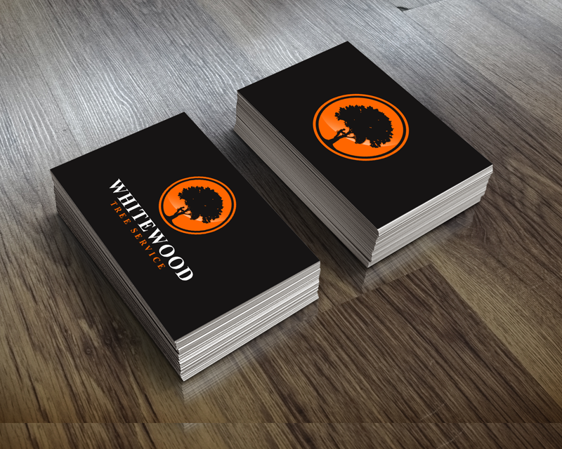 Logo Design entry 1451446 submitted by paczgraphics