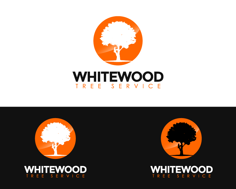 Logo Design entry 1452696 submitted by paczgraphics