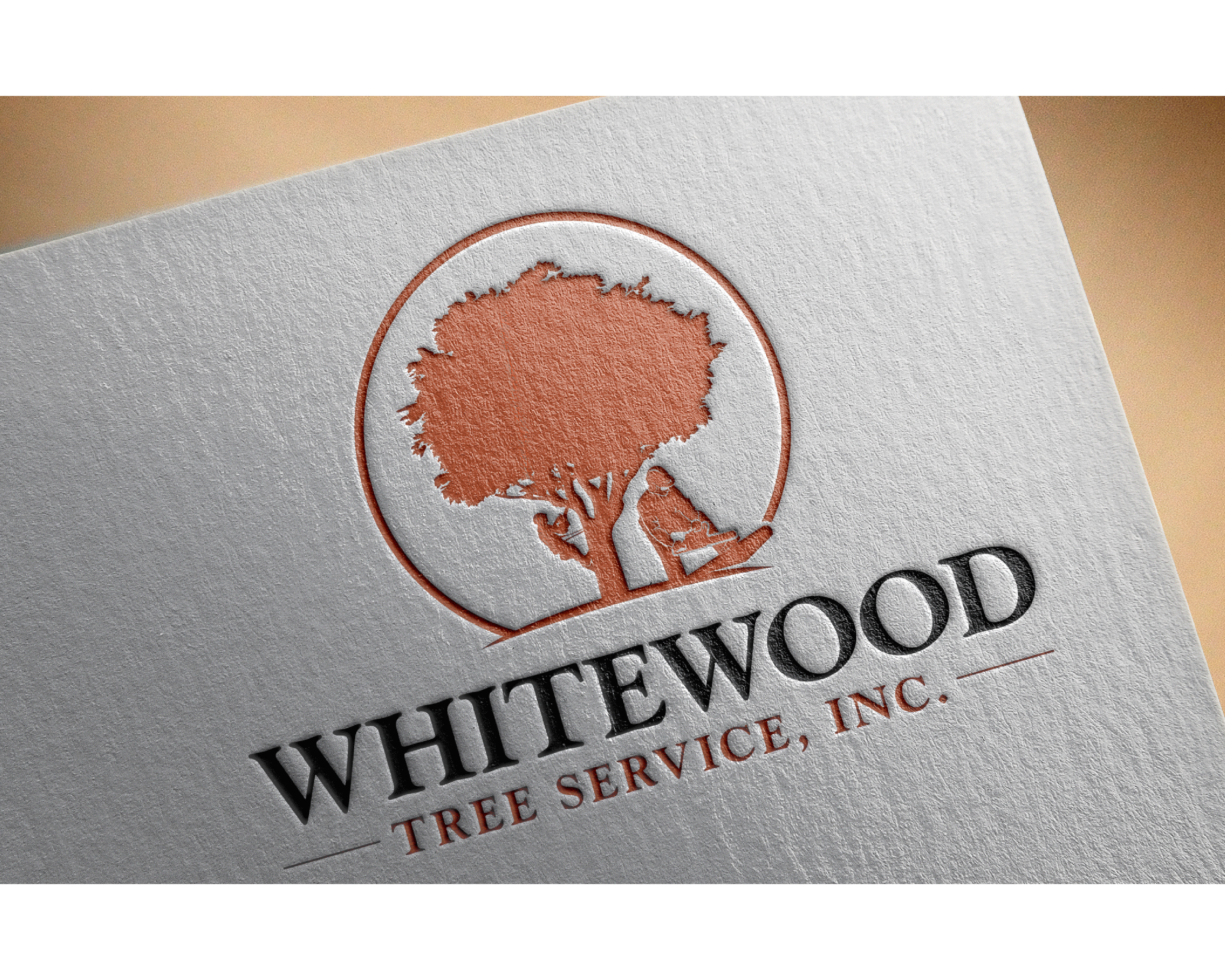 Logo Design entry 1453048 submitted by dsdezign